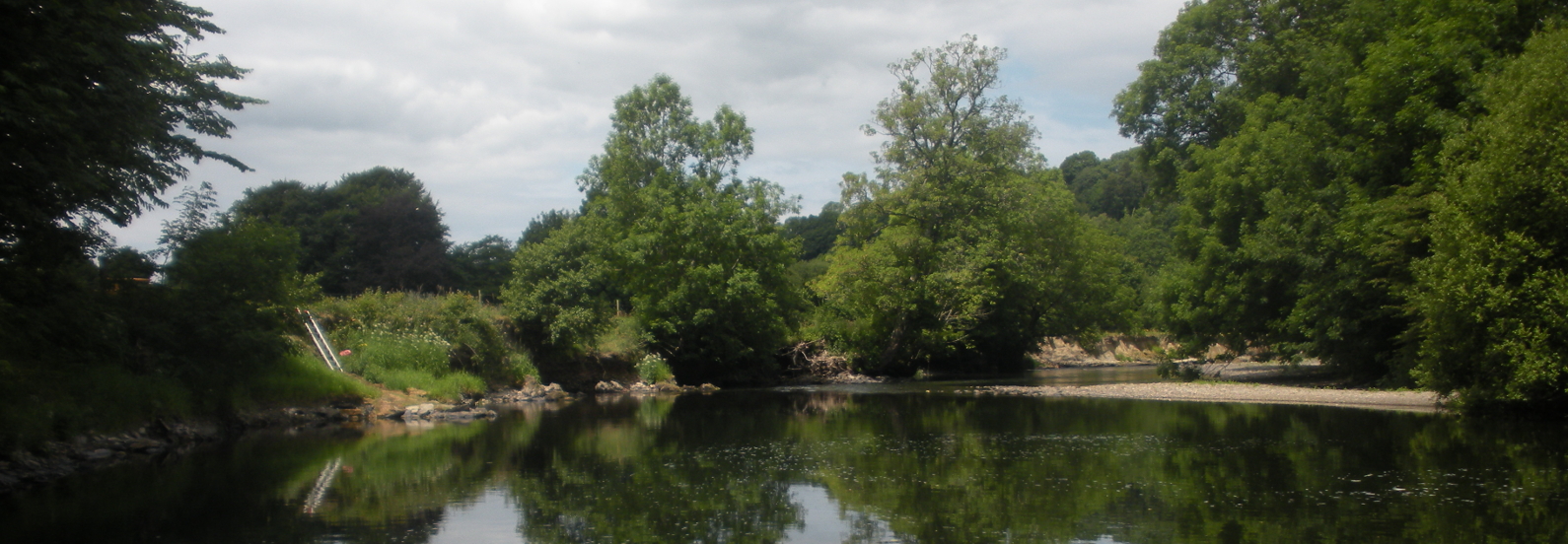 River Teifi @ DolhaiddBANNER.JPG